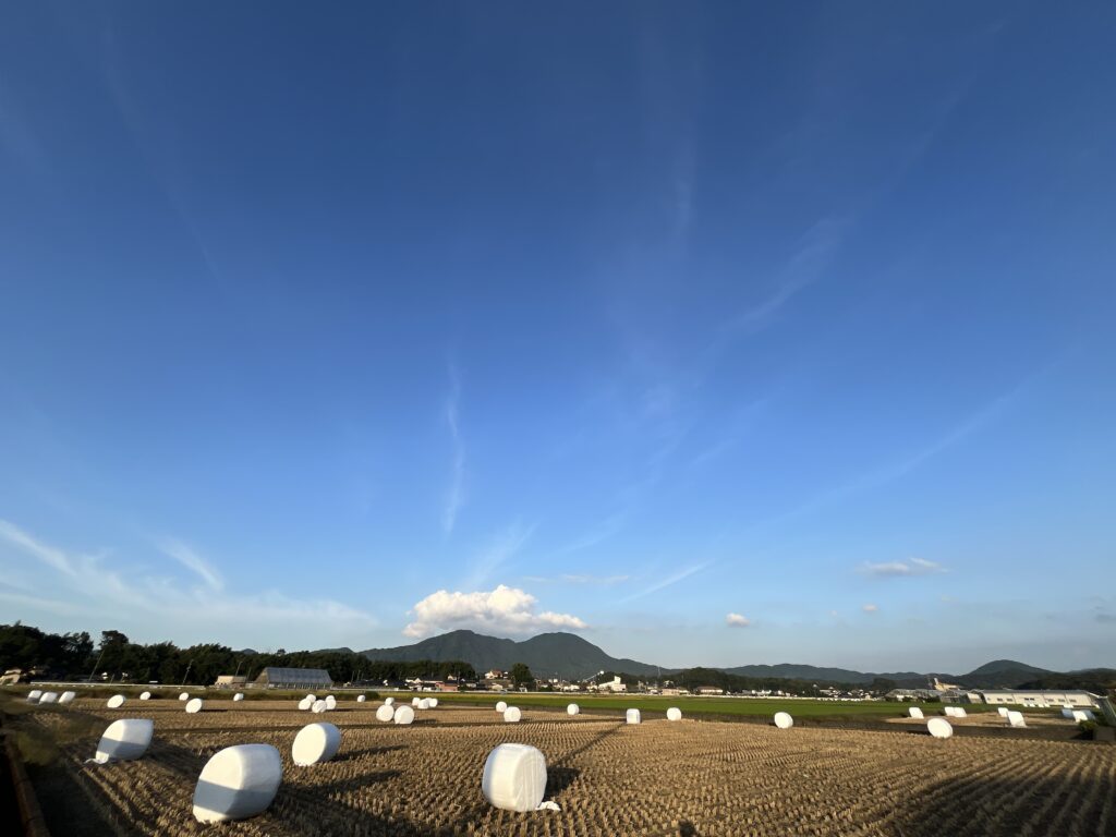 秋空（稲刈り後）